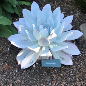 Meet your Posher, Mary jo